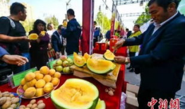 盐山吃瓜最新事件爆料,最新爆料揭示惊人内幕